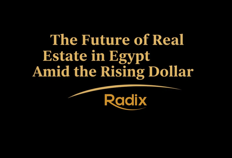 The Future of Real Estate in Egypt Amid the Rising Dollar